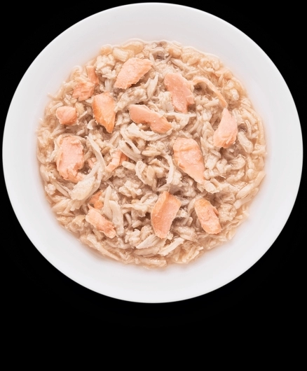 GD-Cat - Chicken Breast & Salmon - 70g