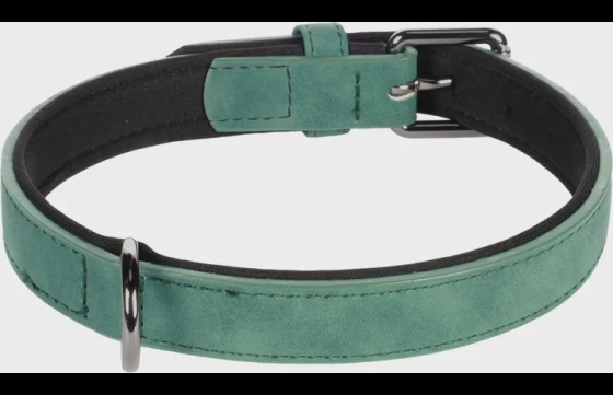Hond Halsband met neopreen Delu Groen M 36-44cm 20mm