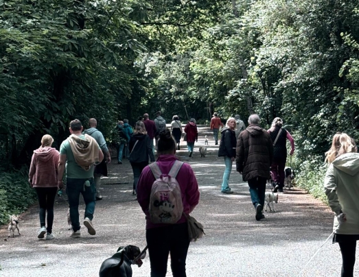 Hondenwandeling