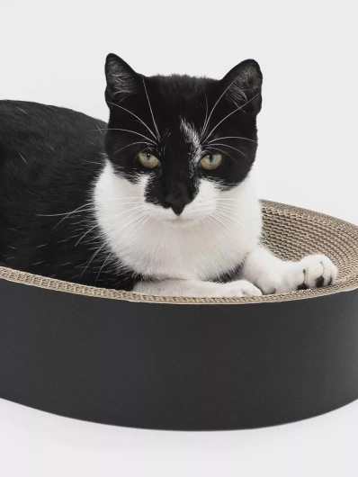 Petrebels Krabkarton Kat - Oliver 61 - Zwart