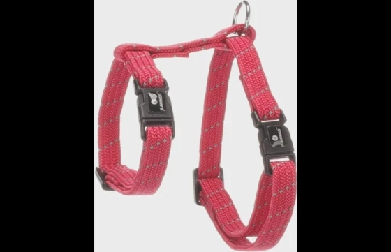 Harnas met looplijn voor kittens Elza Koraalrood