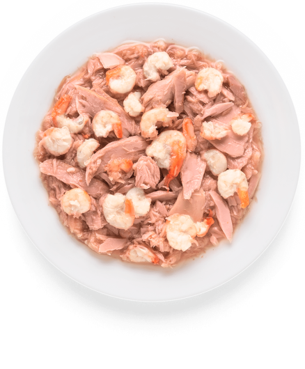 GD-Cat - Tuna Fillet & Shrimps - 70g