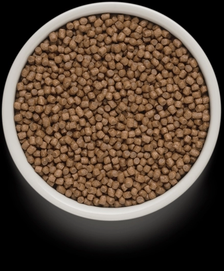 GD-Cat - Lamb & Turkey - Kitten- 8 Kg