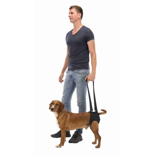 Loophulp, M: 55–65 cm, zwart