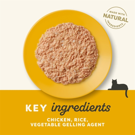 Applaws Senior Chicken 70g