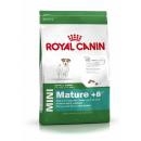 RC Mini Adult 8+ 2kg RC Mini Adult 8+ 2kg