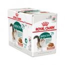 RC Instinctive 7+ Wet 85g RC Instinctive 7+ Wet 85g