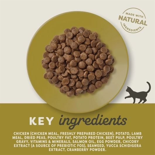 Applaws CAT DRY Adult Chicken & Lamb 400 gr.