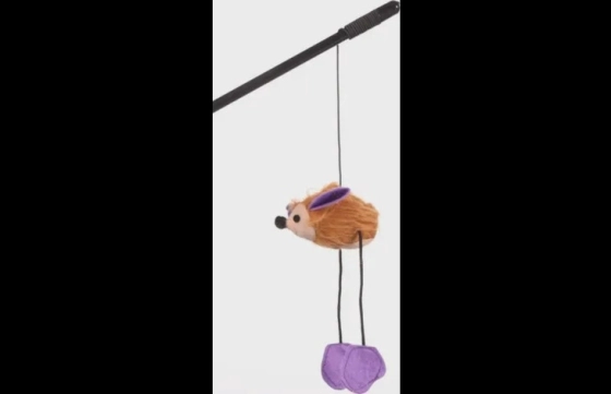 Kattenhengel met egel
