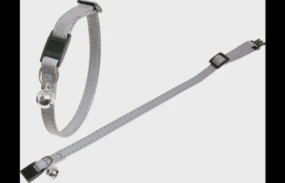 KATTENHALSB. ZILVER REFL 30CM10MM