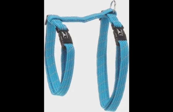 Kat Harnas looplijn Elza blauw