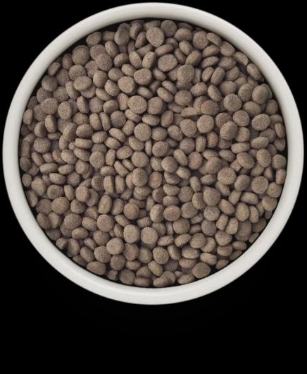 GV-Cat - Turkey - Urinary S/O Low Fat - 400g