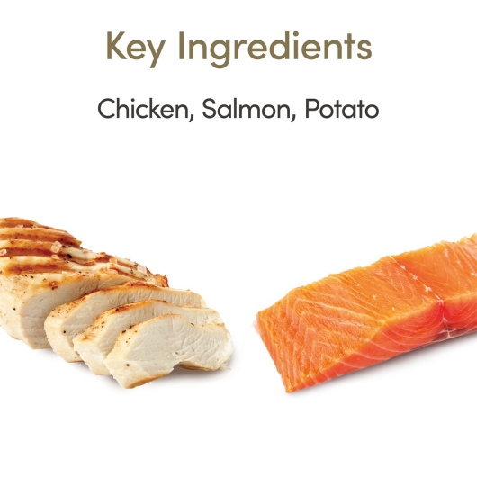 Applaws Cat Dry Adult Chicken & Salmon 2kg
