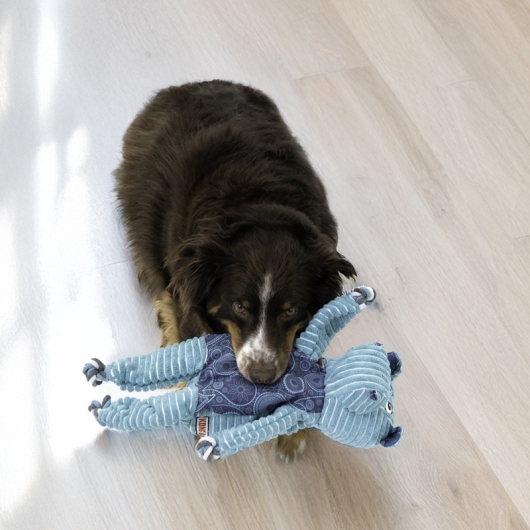 Kong floppy knots hippo jumbo xl