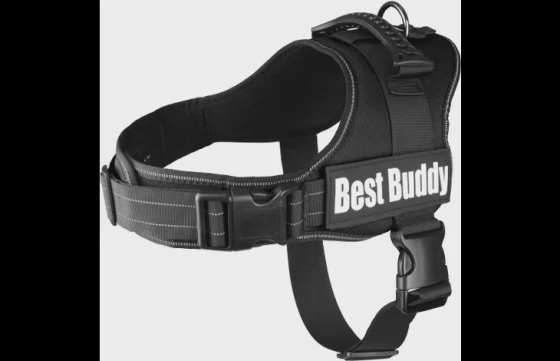 Harnas Pluto Zwart L