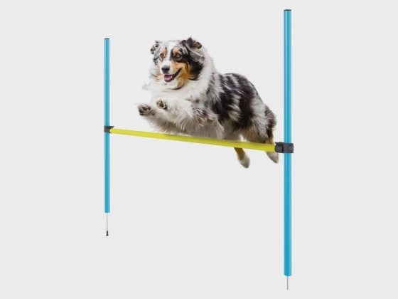 Agility Set Agility Set