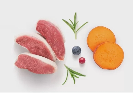 GF-Dog - Fresh Duck - Adult Medium & Maxi Breeds - 3 Kg