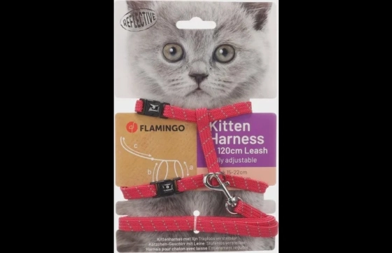 Harnas met looplijn voor kittens Elza Koraalrood