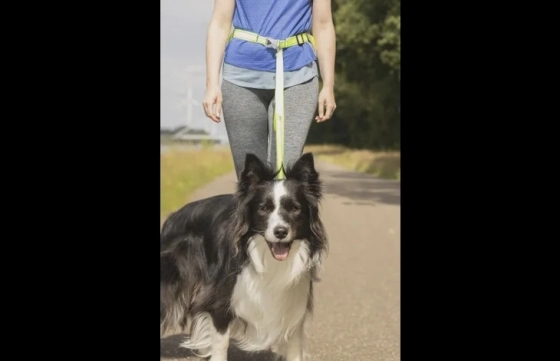 JOGGING SAFETY BELT OPLAADBARE STRIP