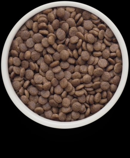 GF-Cat - Fresh Lamb - Adult Large - 8Kg