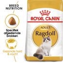 RC Ragdoll 2kg RC Ragdoll 2kg