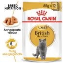 RC British Shorthair 85g RC British Shorthair 85g
