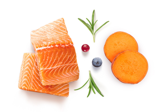 GF-Dog - Fresh Salmon - Adult Medium & Maxi Breeds - 10 Kg