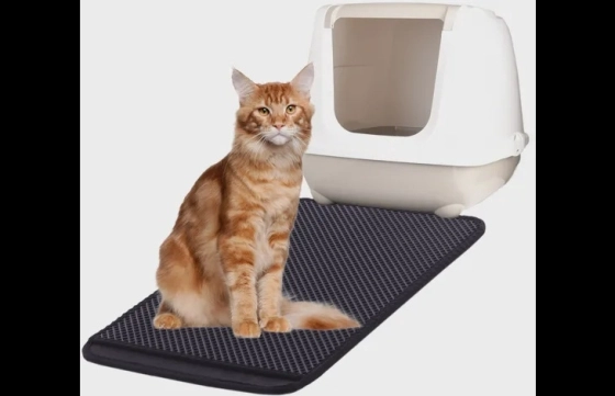 CAT LITTER MAT 61 X 41.5 CM