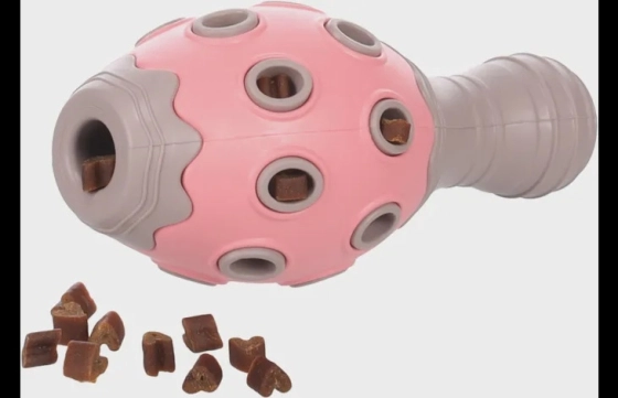 Puppy Benty Kegel Roos