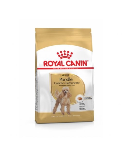 RC Poedel 1,5kg