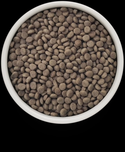 GV-Cat - Turkey - Renal - 400g