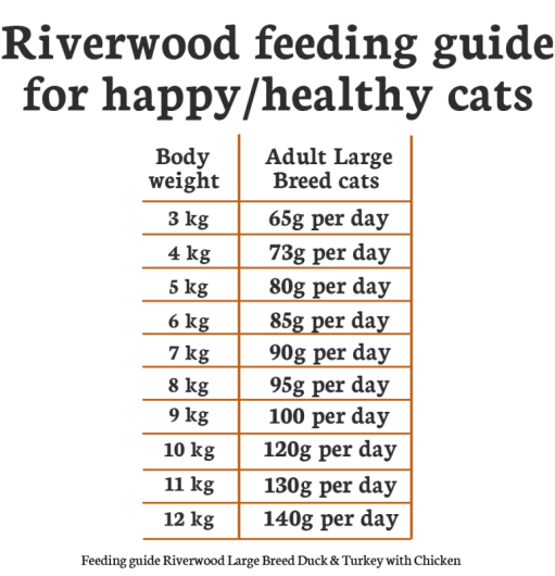 Riverwood Large Breed Eend & Kalkoen met Kip 2kg