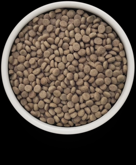 GV-Cat - Turkey - Urinary S/O - 400g