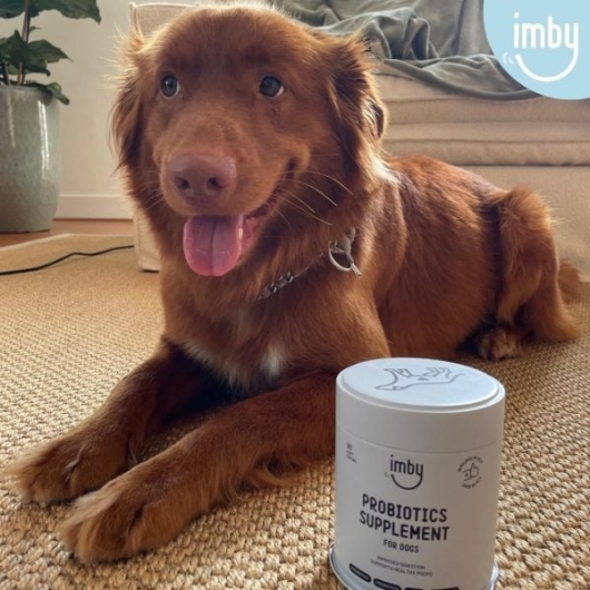 Imby Probiotics Supplement