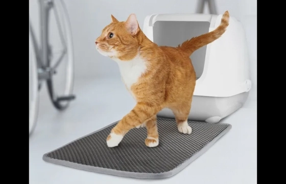 CAT LITTER MAT 61 X 41.5 CM