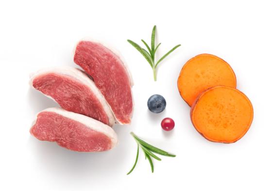 GF-Cat  - Fresh Duck - Adult - 2Kg