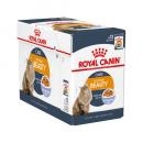 RC Hair & Skin 85g RC Hair & Skin 85g