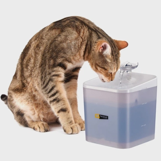 ARES - Fountain for cats and small dogs