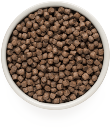 GD-Dog - 4 Meat - Adult Mini Breeds - 1 Kg