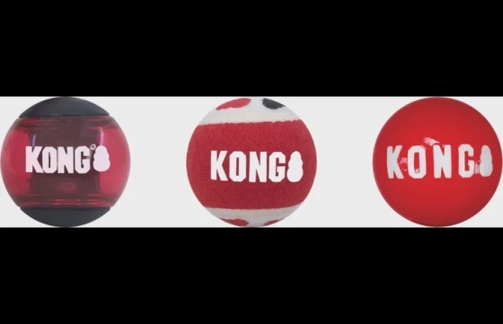 Kong® Speelgoed Signature Rood Bal