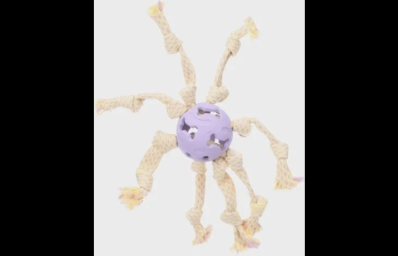 Speelgoed Joanie Bal Octopus Paars