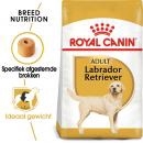 RC Maxi Labrador 12kg RC Maxi Labrador 12kg