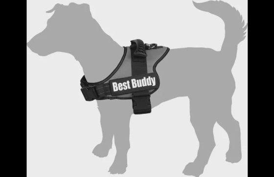 Harnas Pluto Zwart L