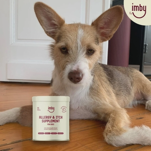 Imby Allergy & Itch Supplement