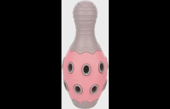 Puppy Benty Kegel Roos