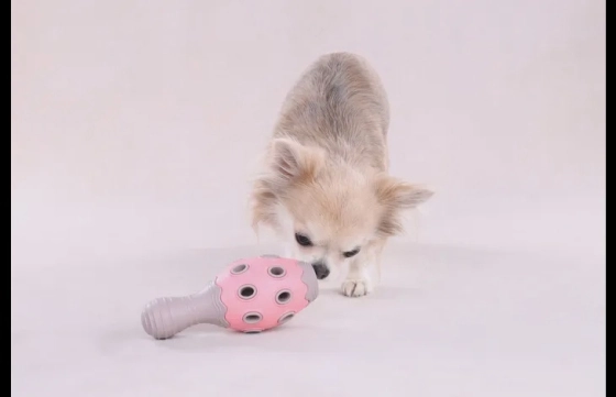 Puppy Benty Kegel Roos