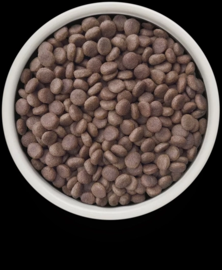 GV-Dog - Rabbit - Hypoallergenic- 1KG