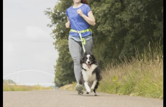 JOGGING SAFETY BELT OPLAADBARE STRIP