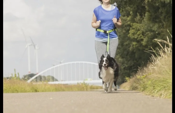 JOGGINGLIJN + HEUPRIEM RONO GEEL LIJN 155-250CM / RIEM 79,5-140CM