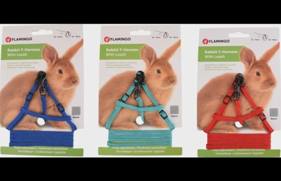 Harnas met looplijn